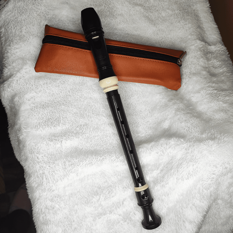 Flauta dulce soprano de 8 agujeros, flauta ajustable, con bolsa de transporte de varilla limpia, para niños principiantes