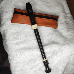 Flauta dulce soprano de 8 agujeros, flauta ajustable, con bolsa de transporte de varilla limpia, para niños principiantes