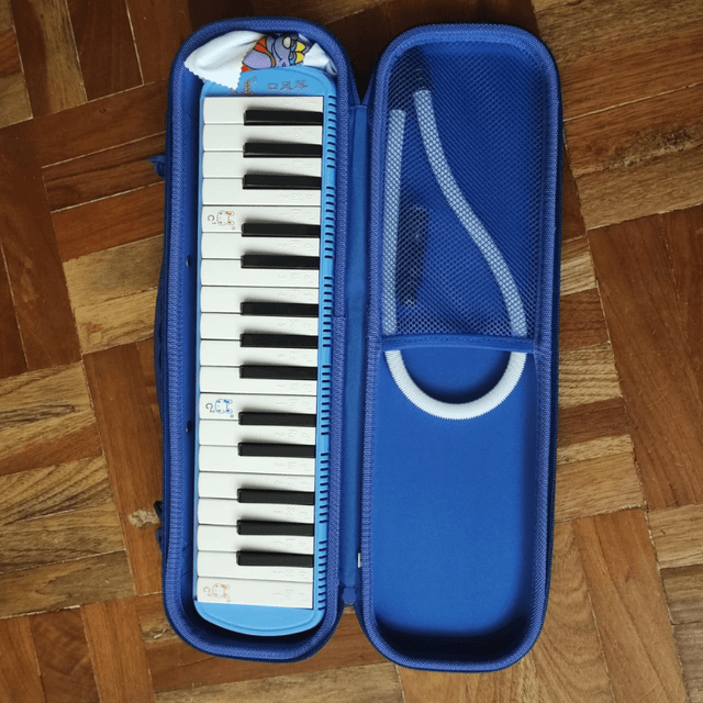 Melódica, teclado de 32 teclas para niños, estilo piano, melódica, estuche portátil, instrumento musical para niños