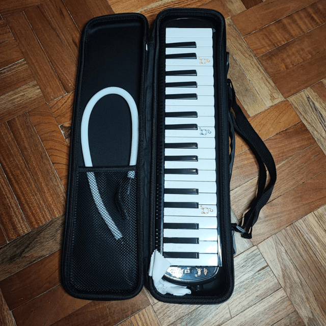 Melódica, teclado de 37 teclas para niños, estilo piano, melódica, estuche portátil, instrumento musical para niños